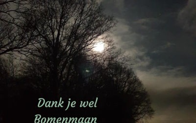 Bomenmaan in het teken van tweeling(deel)