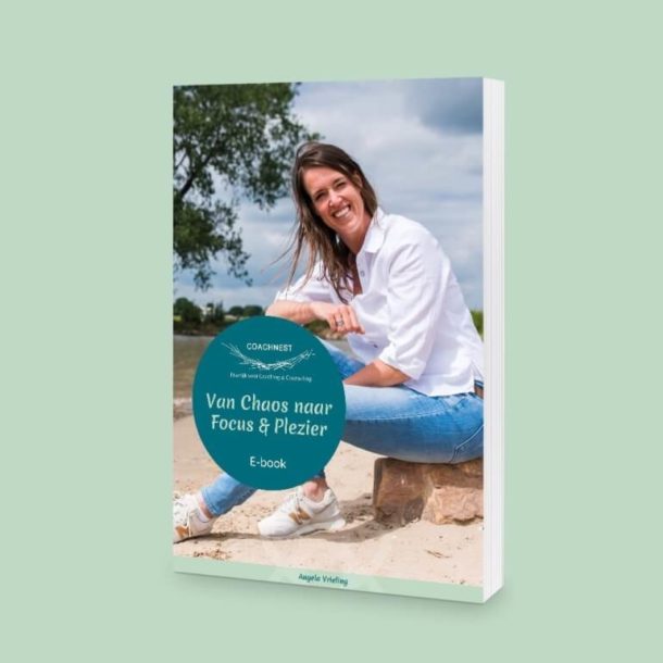 E-book: Van chaos naar focus en plezier van Coachnest